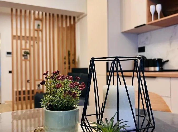 Damar Infinity And Pool Mamaia- Private Parking Apartment