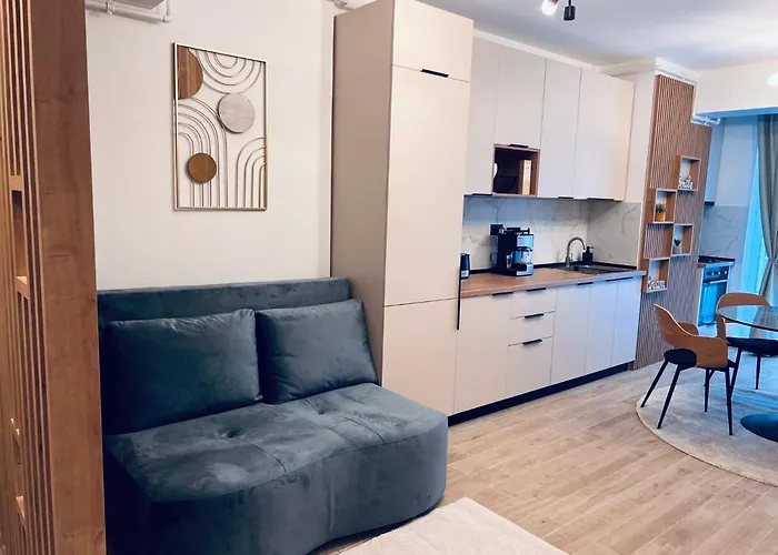 アパート Damar Infinity And Pool Mamaia- Private Parking ナボダリ